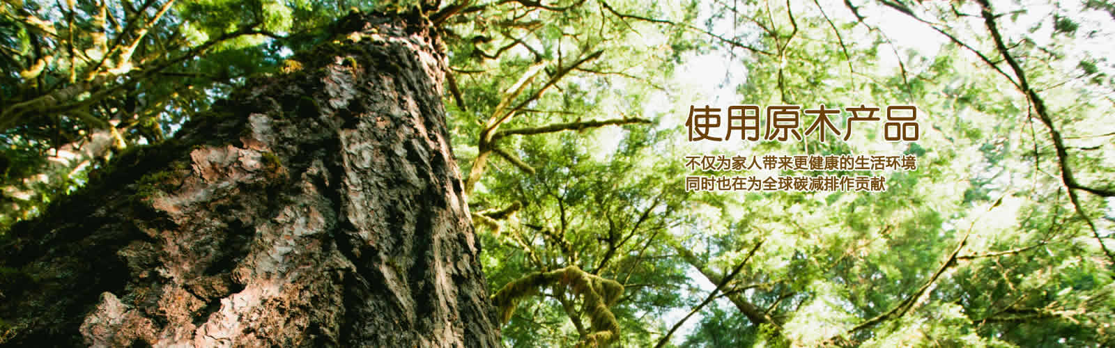 譽(yù)墅品(上海)家居有限公司(品家樓梯) 譽(yù)墅品(上海)家居有限公司(品家樓梯)